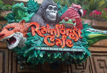 Photo of Rainforest Cafe