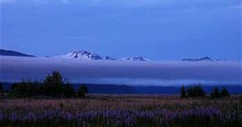 Glacier Bay Country Inn, Gustavus Roadtrippers