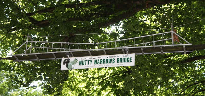 Photo of Nutty Narrows Bridge