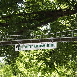 Nutty Narrows Bridge