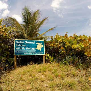 Hobe Sound National Wildlife Refuge
