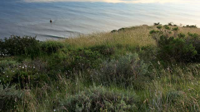 Silver Peak Wilderness King City Ca Roadtrippers