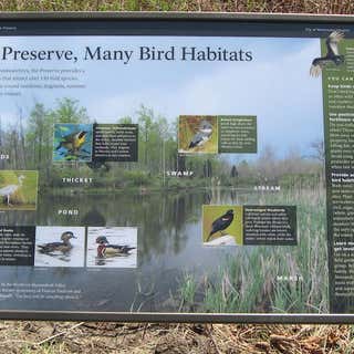 Abrams Creek Wetlands Preserve