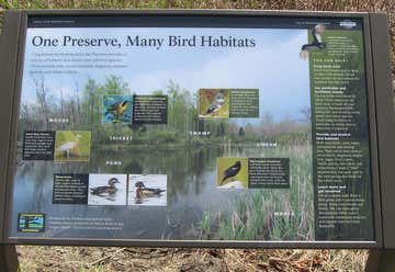 Photo of Abrams Creek Wetlands Preserve