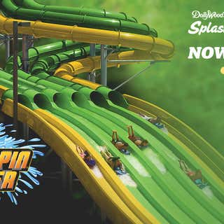Dollywood's Splash Country Water Adventure Park