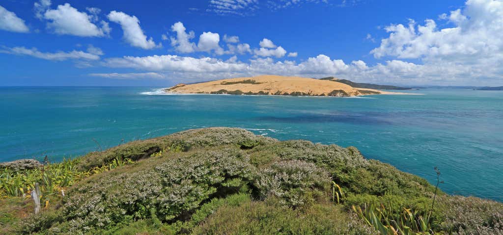 Photo of Arai Te Uru Scenic Lookout