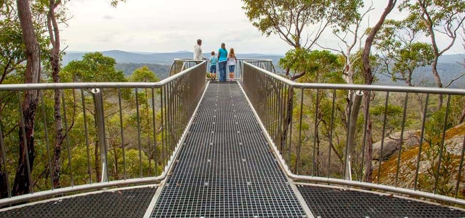 Photo of Valley of the Giants Tree Top Walk
