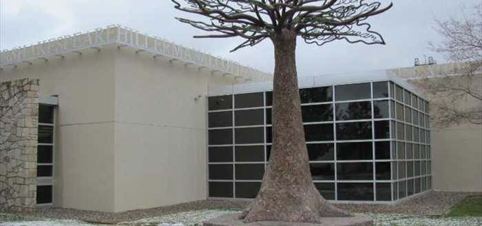 Photo of Tree of Knowledge