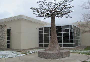 Photo of Tree of Knowledge
