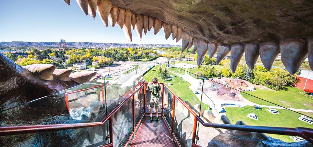 Photo of World's Largest Dinosaur