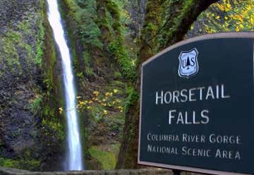 Photo of Horsetail Falls- Columbia River Gorge