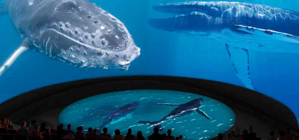 Photo of Long Beach Aquarium