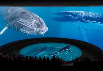 Photo of Long Beach Aquarium