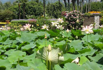 Photo of Lotus Garden Retreat Center