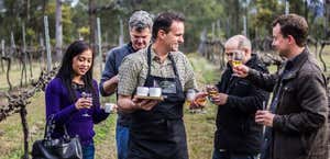 Hunter Valley Food And Wine Tour