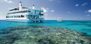 Coral Expeditions - Great Barrier Reef