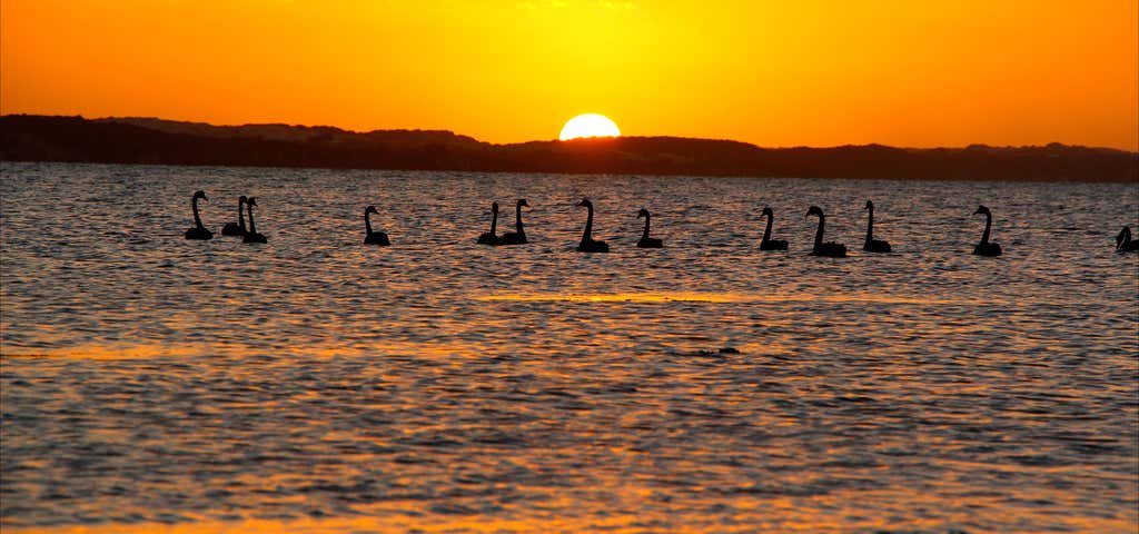 Photo of Coorong National Park