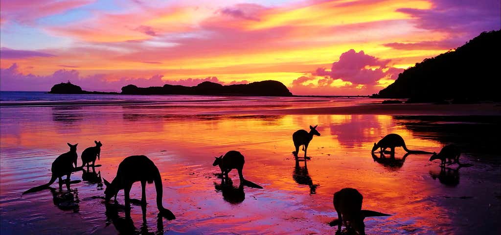 Photo of Cape Hillsborough Nature Tourist Park