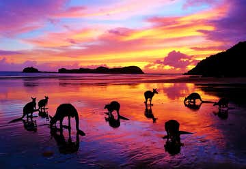 Photo of Cape Hillsborough Nature Tourist Park