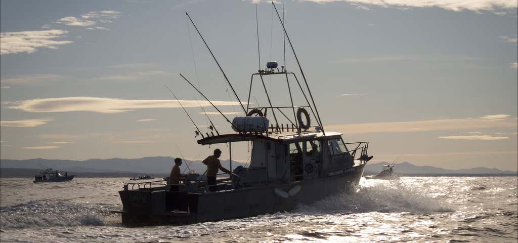 Photo of Montague Island Game and Sport Fishing Charters