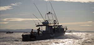 Montague Island Game and Sport Fishing Charters
