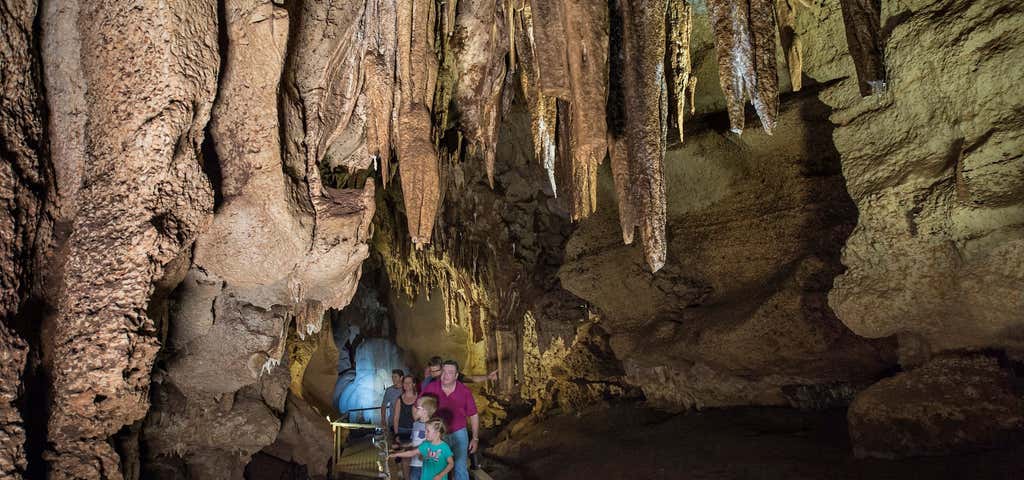 Photo of Cutta Cutta Caves Nature Park