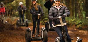 Hollybank Forest Adventure Segway Tours