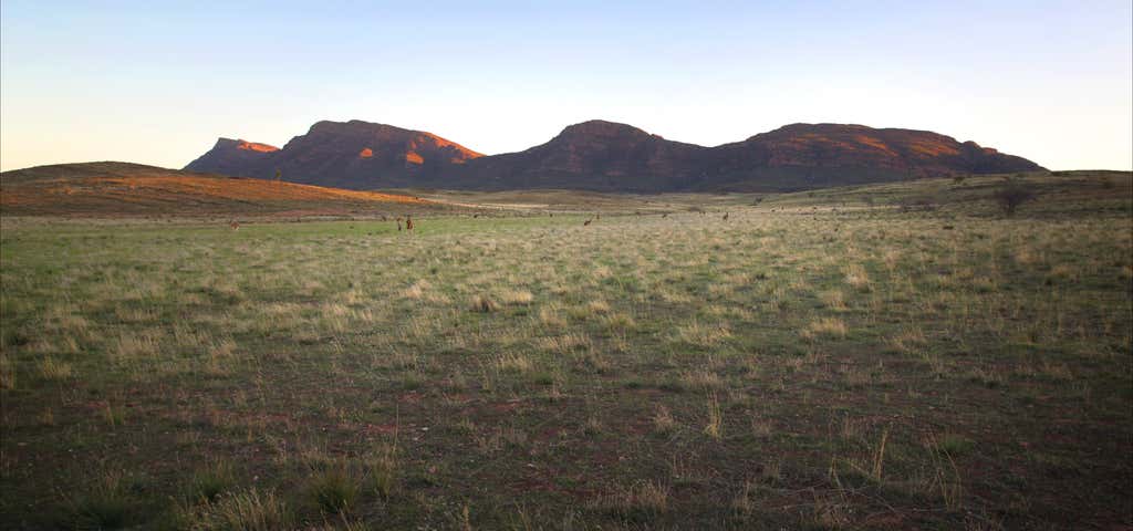 Photo of Ikara-Flinders Ranges National Park