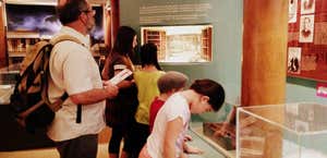 Mary MacKillop Place Museum
