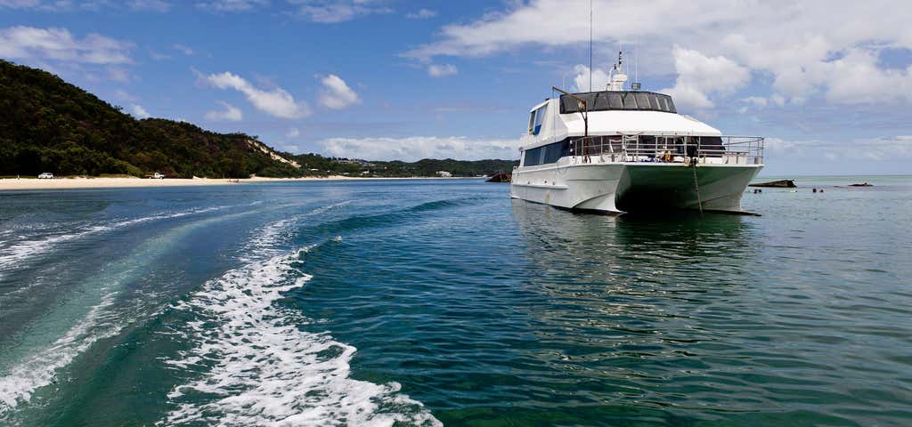 Photo of Dolphin Wild - Island Cruises