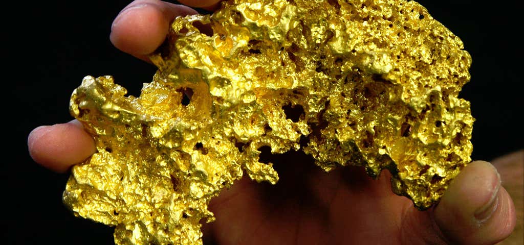 Photo of Gold and Relics Gold Prospecting Adventure Tours