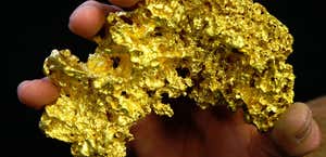 Gold and Relics Gold Prospecting Adventure Tours