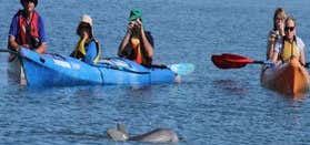 Photo of Adventure Kayaking SA