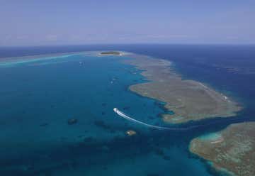 Photo of 1770reef Great Barrier Reef Eco Tours