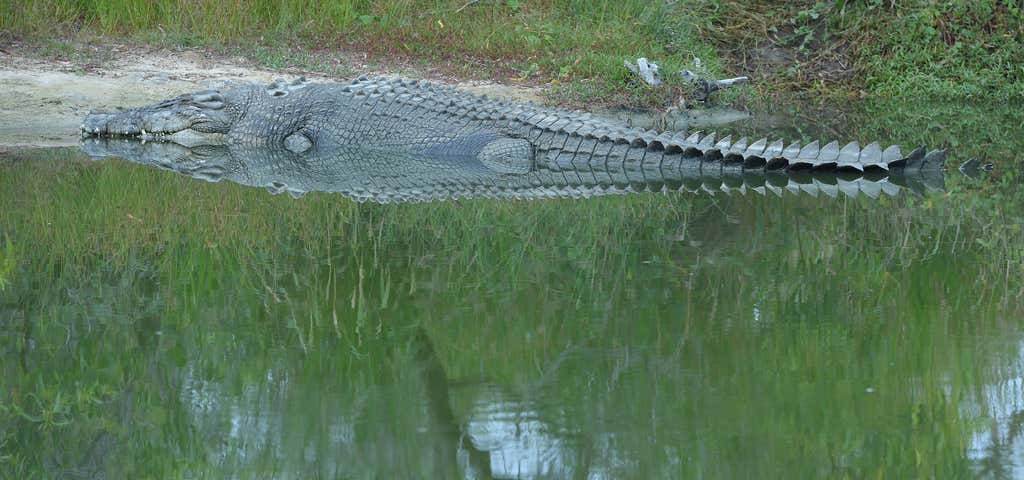 Photo of Koorana Crocodile Farm