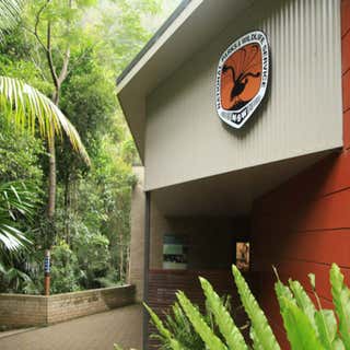 Minnamurra Rainforest Centre