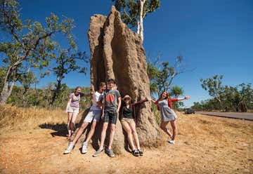 Photo of Magnetic Termite Mounds