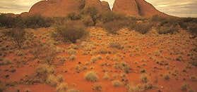 Photo of Australian Pacific Touring Red Centre