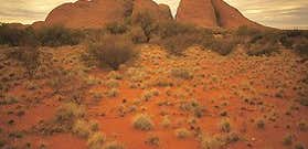 Australian Pacific Touring Red Centre