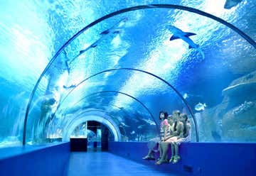 Photo of Cairns Aquarium
