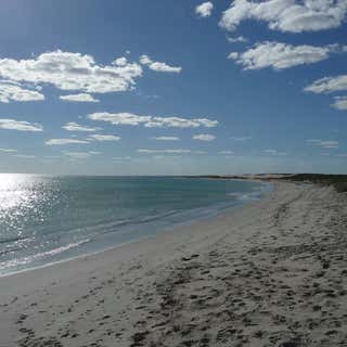 Tarcoola Beach