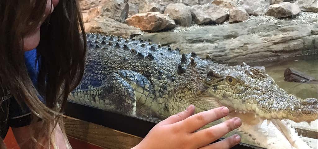 Photo of Canberra Reptile Zoo