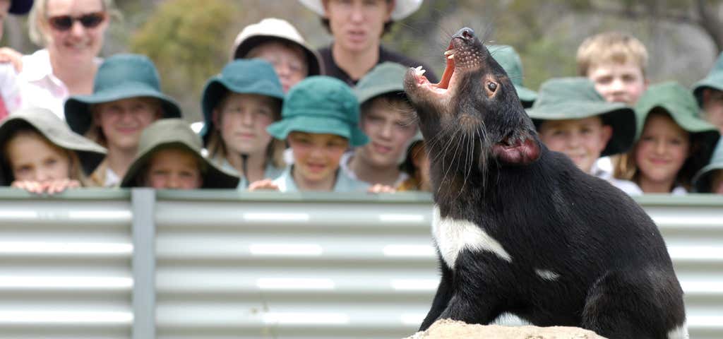 Photo of Tasmania Zoo