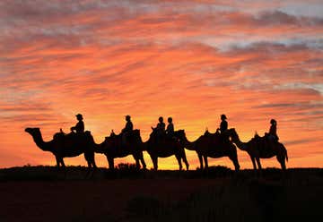 Photo of Uluru Camel Tours