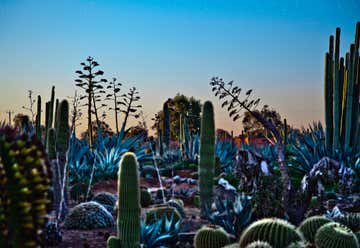 Photo of Cactus Country