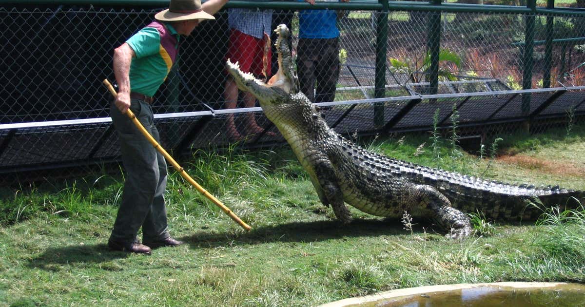 Snakes Downunder Reptile Park and Zoo, Queensland Roadtrippers