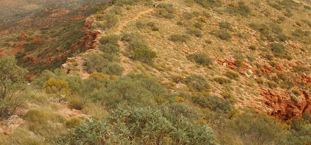 Photo of Larapinta Trail by World Expeditions