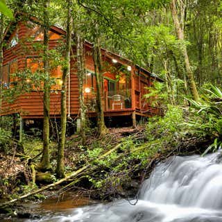 Mouses House - Rainforest Retreat, The