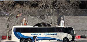 Cole's Coaches