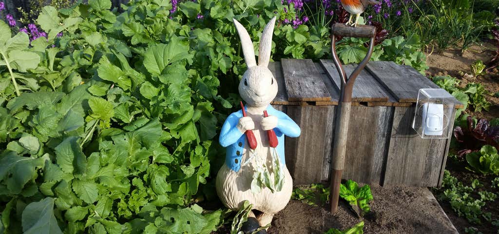 Photo of Beatrix Potter Peter Rabbit (TM) Garden